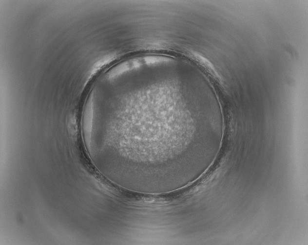 X0000115451218200911251300