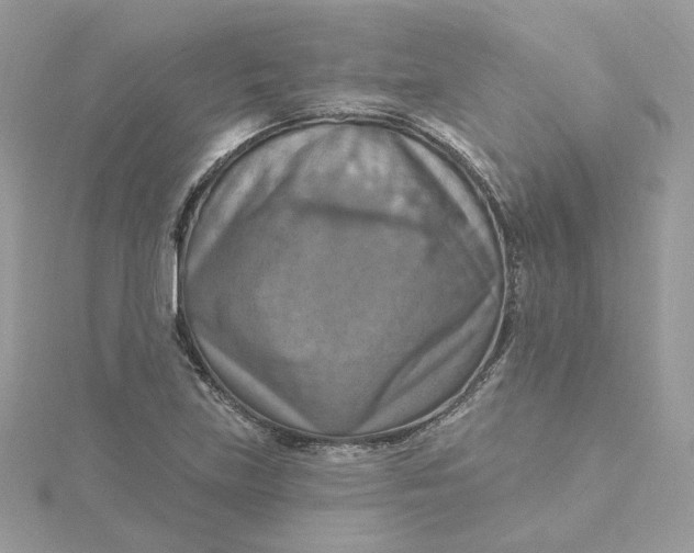 X0000115451219200911251300