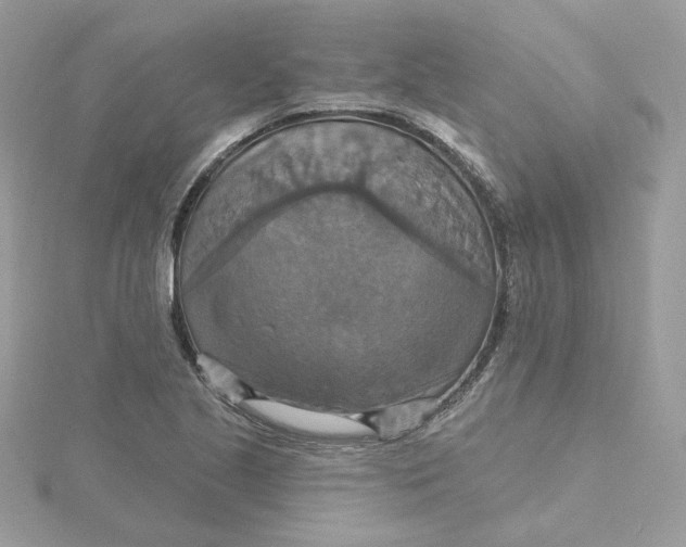 X0000115451221200911251300