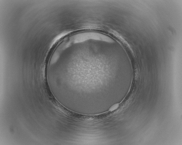 X0000115451222200911251300