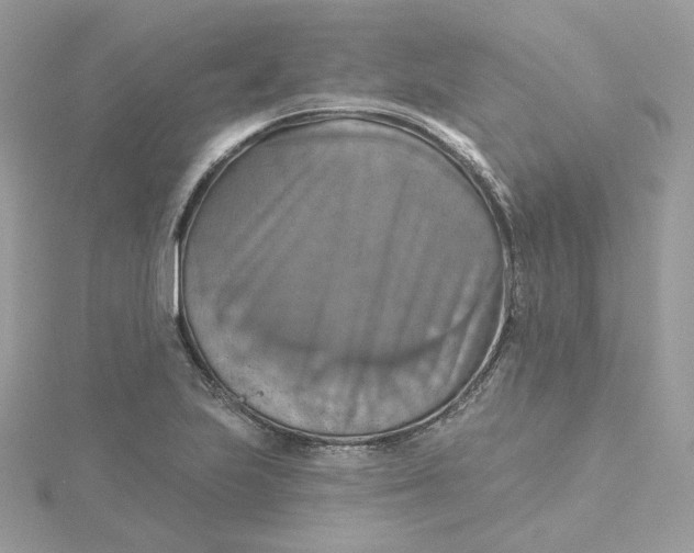 X0000115451223200911251300