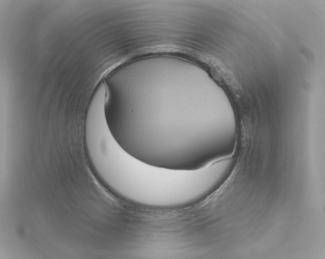 X0000115451225200911251300