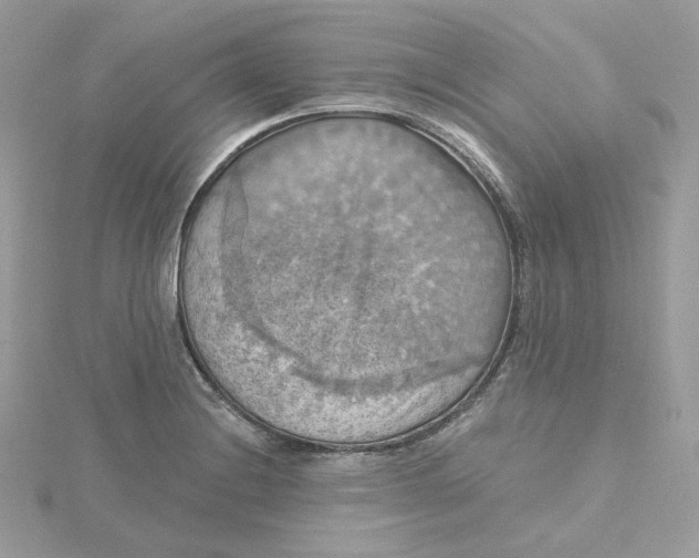 X0000115451228200911251300