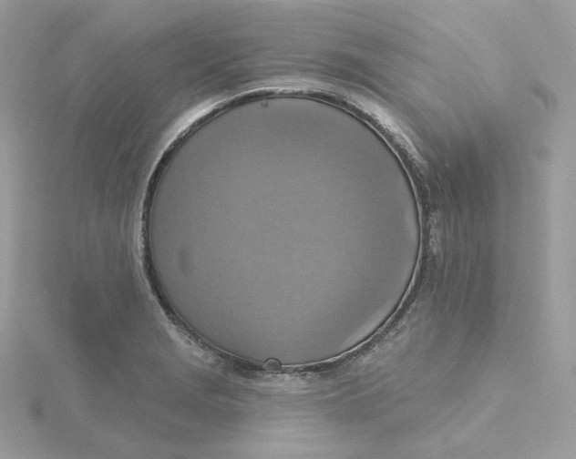 X0000115451229200911251300