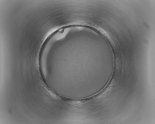 X0000115451230200911251300