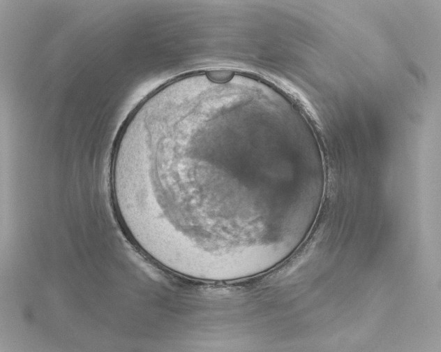 X0000115451231200911251300