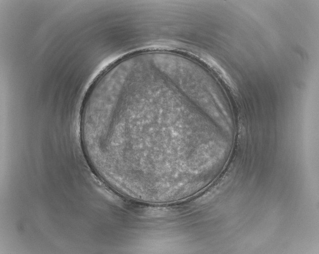 X0000115451232200911251300