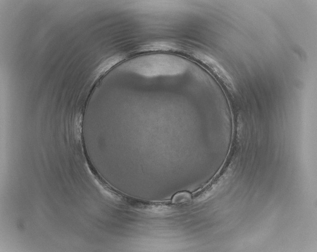 X0000115451233200911251300