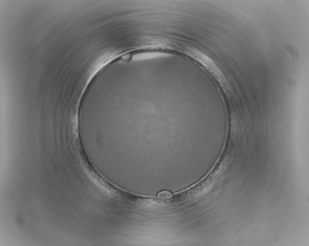 X0000115451234200911251300