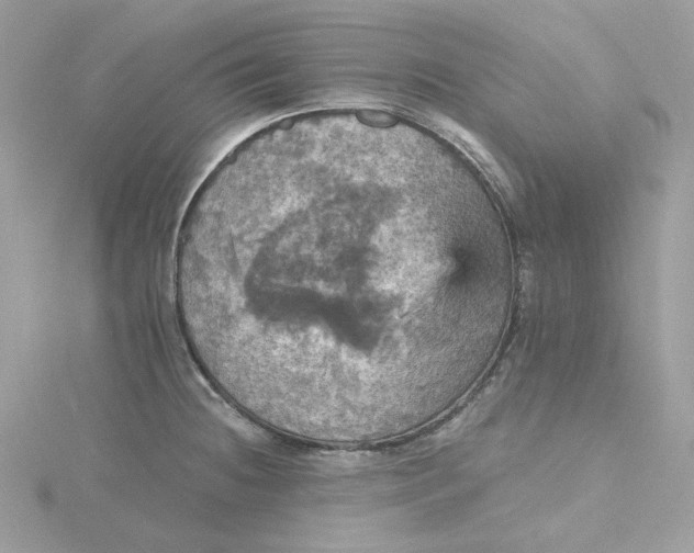 X0000115451236200911251300