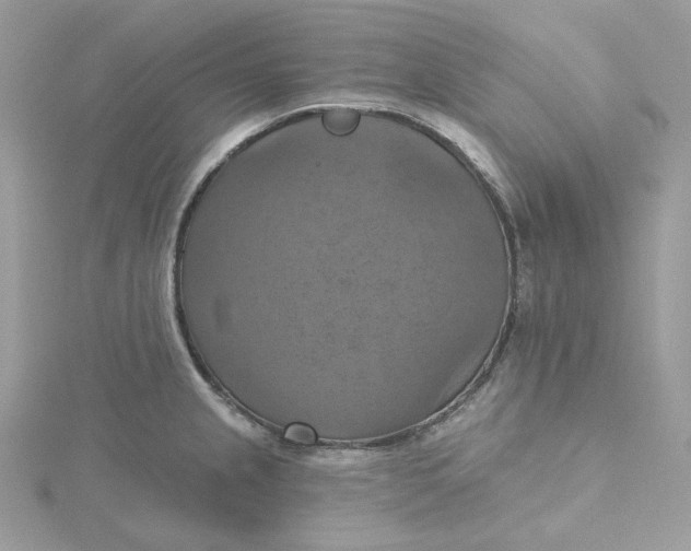 X0000115451237200911251300