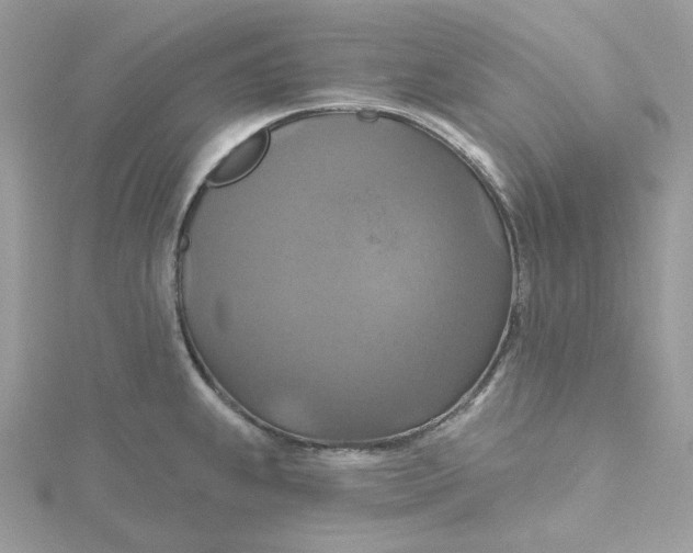 X0000115451239200911251300