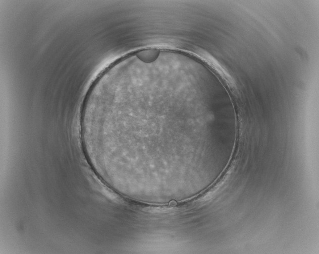 X0000115451240200911251300