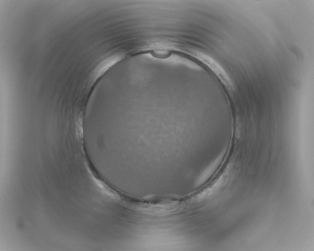 X0000115451241200911251300