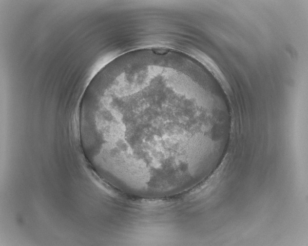 X0000115451242200911251300