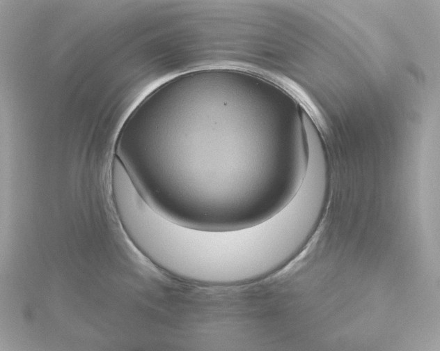 X0000115451244200911251300