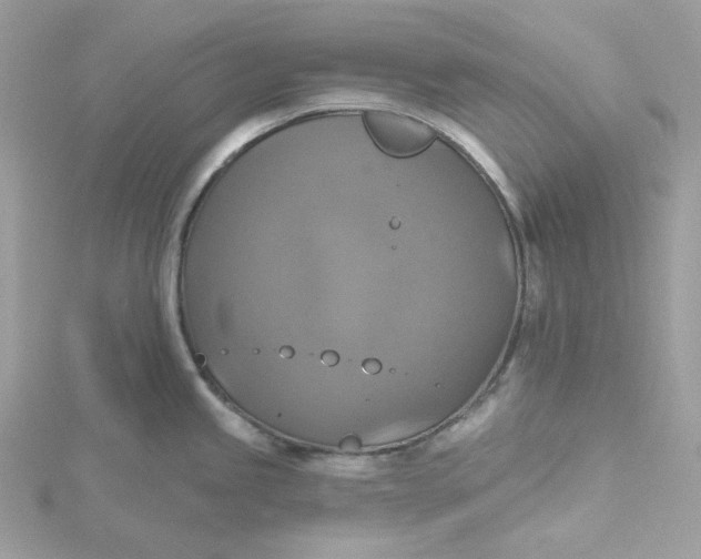 X0000115451245200911251300