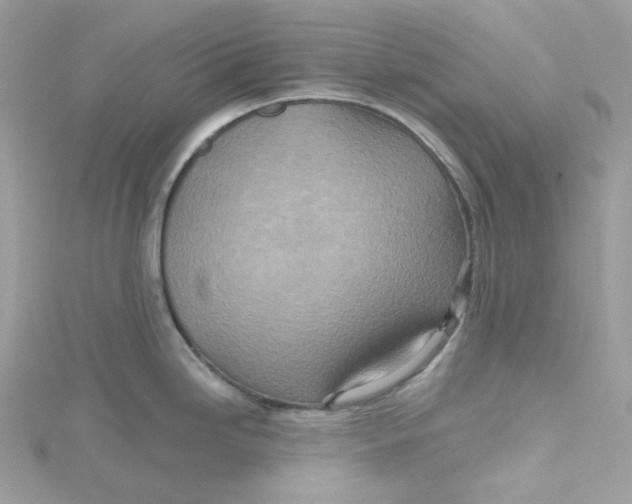 X0000115451246200911251300