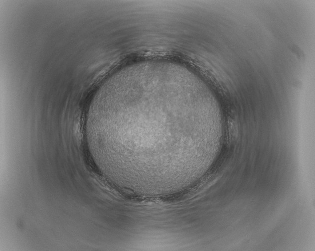 X0000115451250200911251300