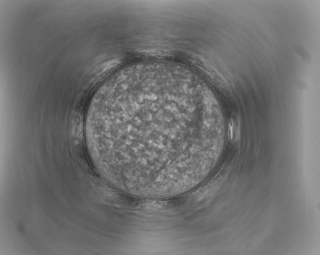 X0000115451251200911251300