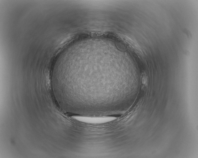 X0000115451252200911251300