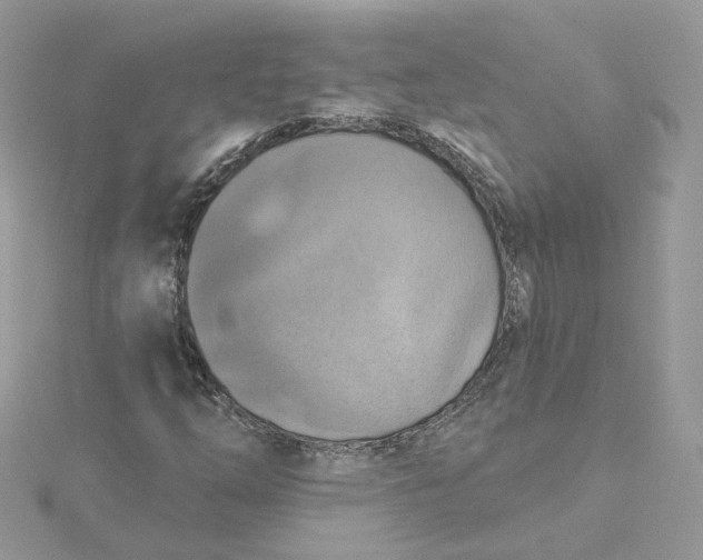 X0000115451254200911251300