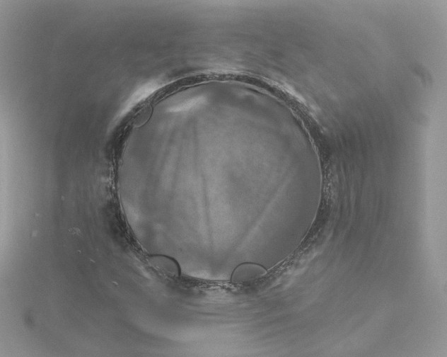 X0000115451255200911251300