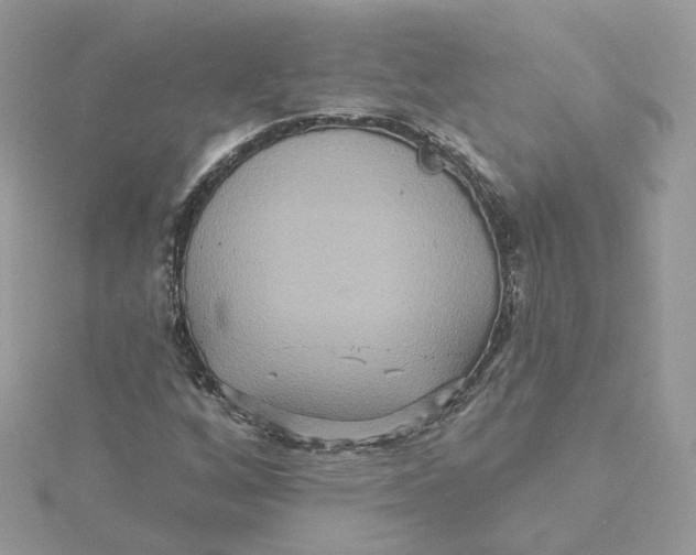 X0000115451256200911251300