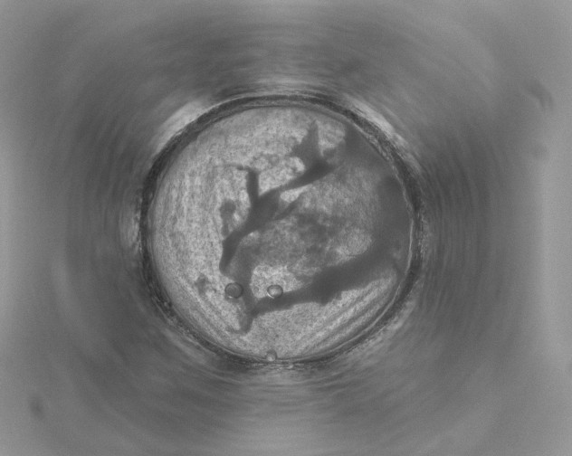 X0000115451259200911251300