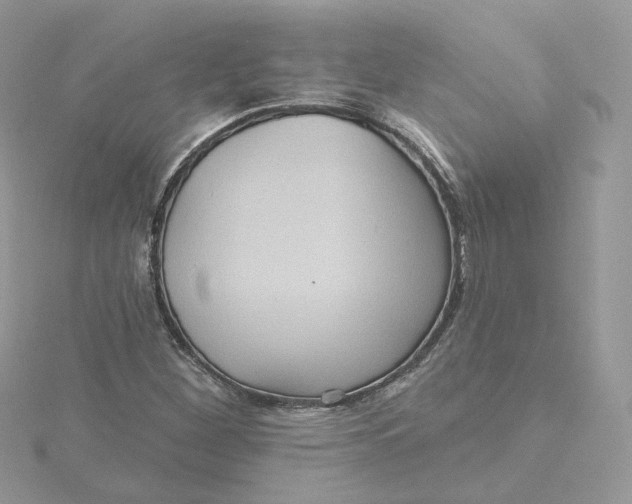 X0000115451260200911251300