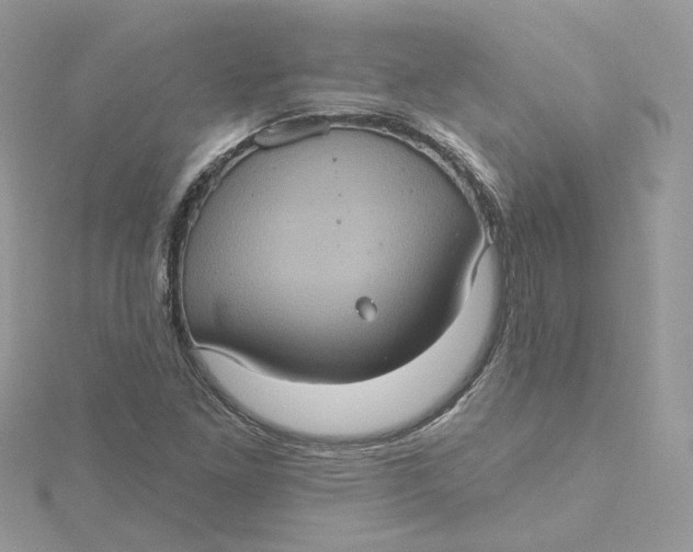 X0000115451261200911251259