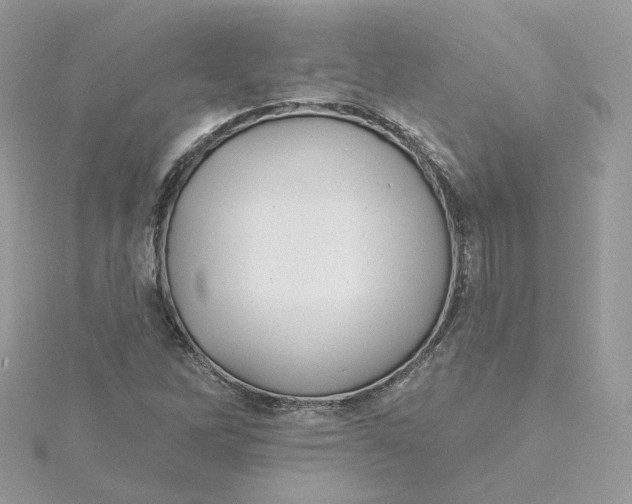 X0000115451262200911251259