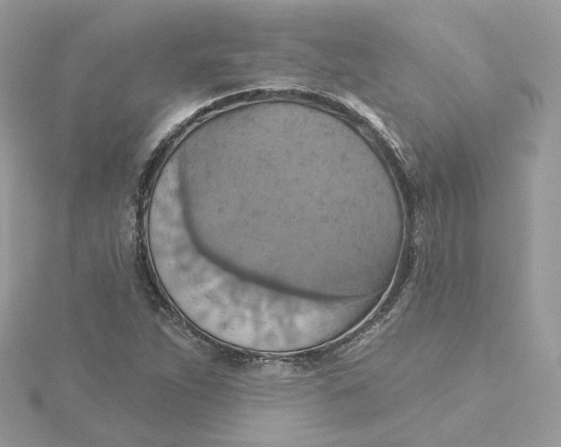 X0000115451263200911251259