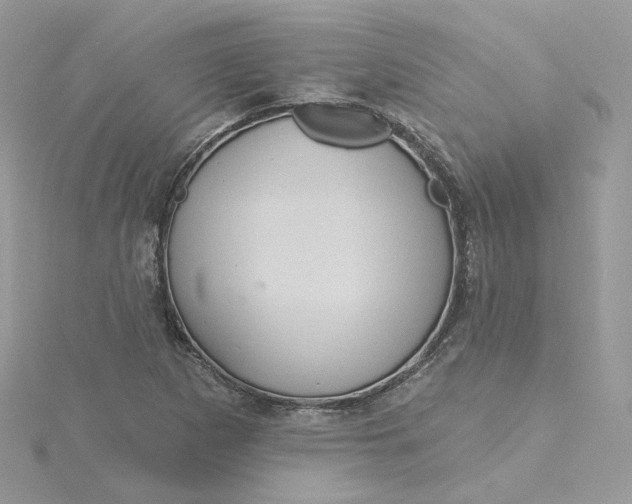 X0000115451265200911251259