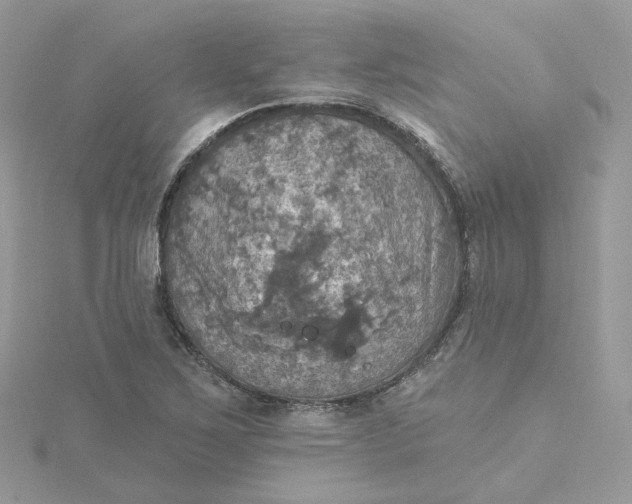 X0000115451267200911251259