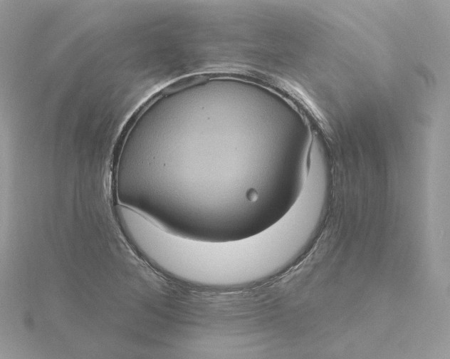 X0000115451268200911251259