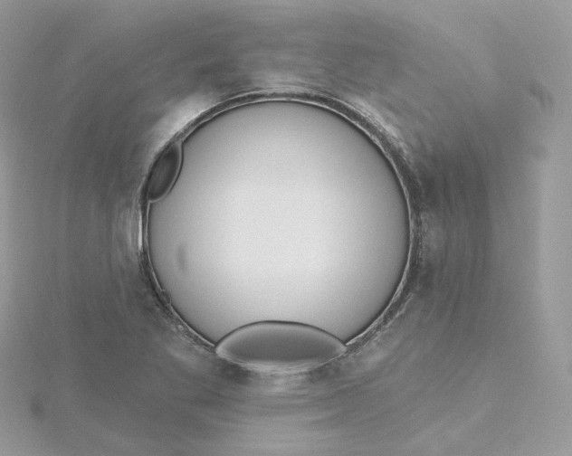 X0000115451269200911251259