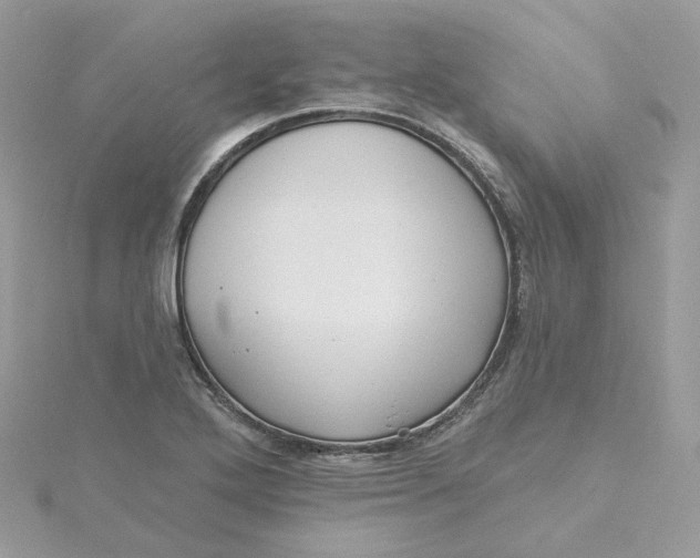 X0000115451272200911251259