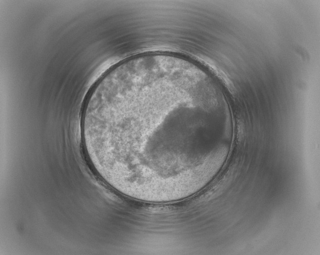 X0000115451274200911251259