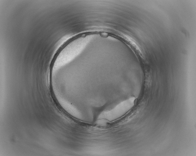 X0000115451275200911251259