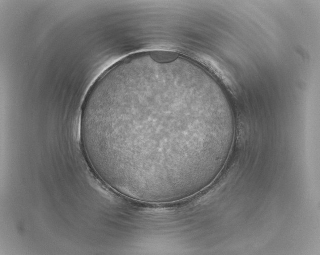 X0000115451276200911251259