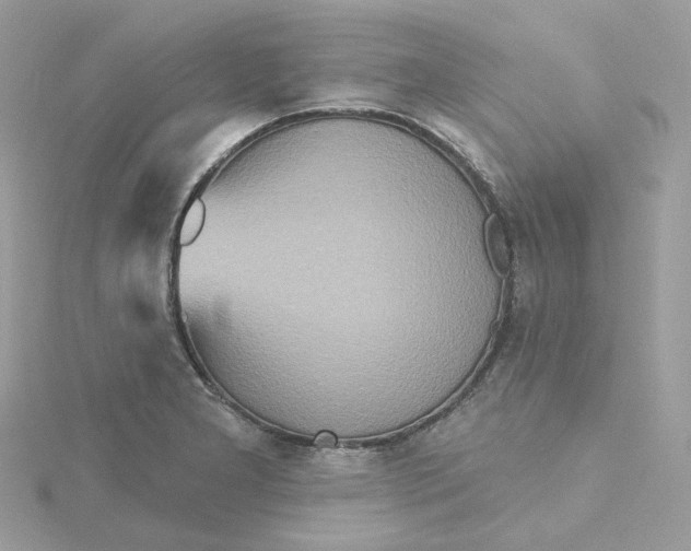 X0000115451277200911251259