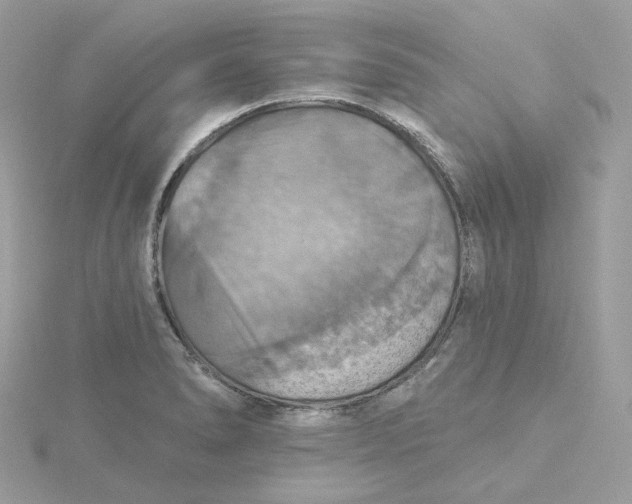 X0000115451278200911251259