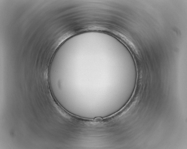 X0000115451281200911251259