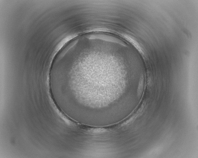 X0000115451282200911251259