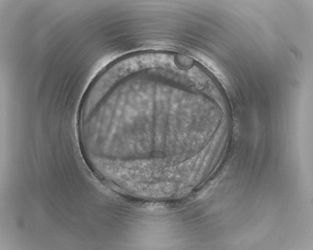 X0000115451283200911251259