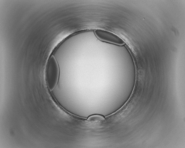 X0000115451285200911251259