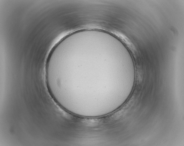 X0000115451286200911251259