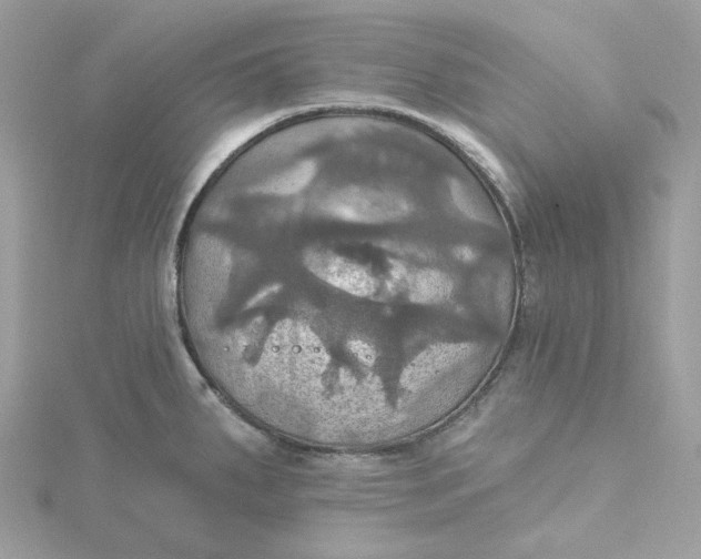 X0000115451287200911251259