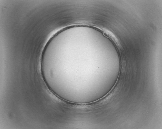 X0000115451288200911251259